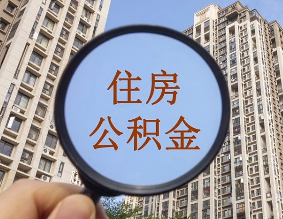 汶上退休后查不到公积金明细了吗（退休后公积金查询不到原因）